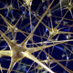 Illustration for article titled IBMs neurosynaptic chips are the closest thing to a synthetic brain yet
